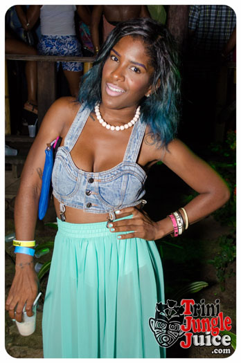 permit_fete_2014-040