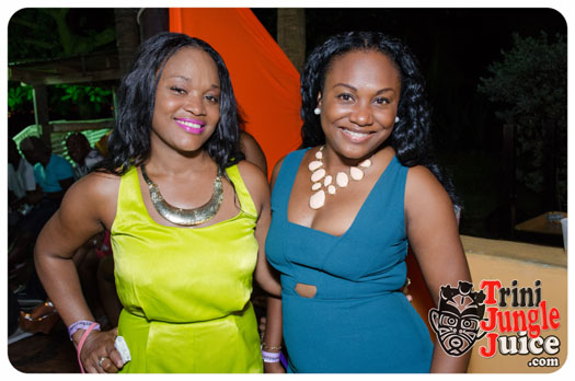 permit_fete_2014-097