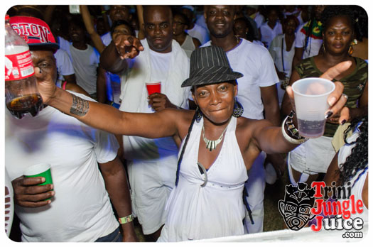 white_in_the_moonlight_2014-008