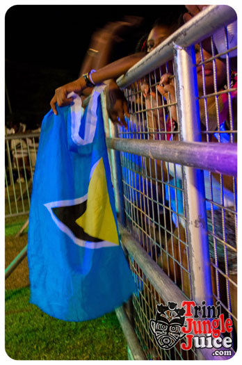 white_in_the_moonlight_2014-025