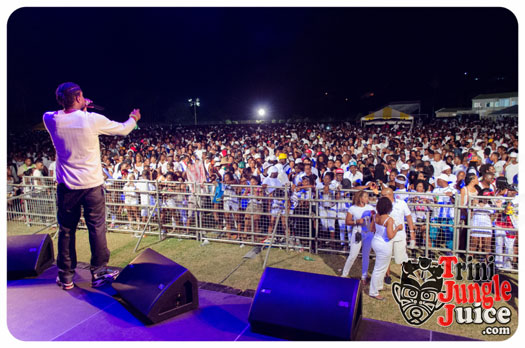 white_in_the_moonlight_2014-040