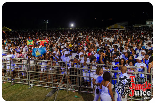 white_in_the_moonlight_2014-041