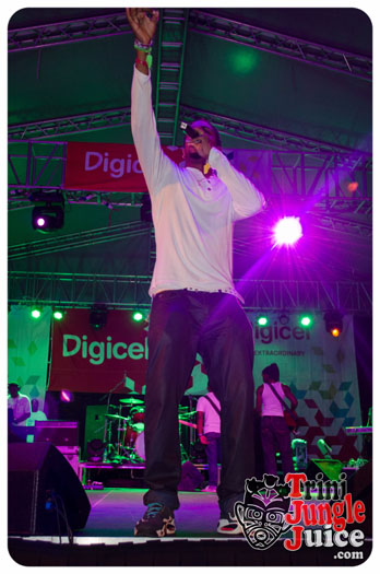 white_in_the_moonlight_2014-062