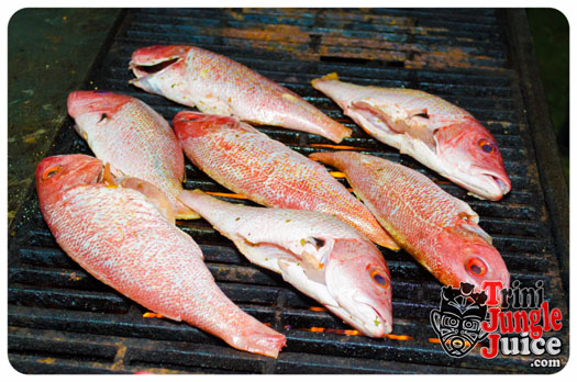 white_in_the_moonlight_2014-118