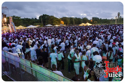 white_in_the_moonlight_2014-121