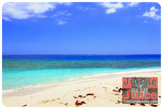 candy_coated_apr25-009