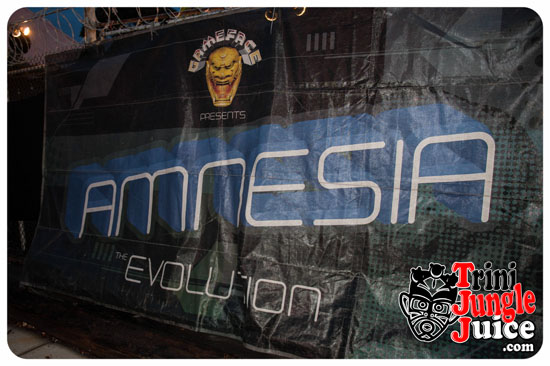 amnesia_ny_2014-002