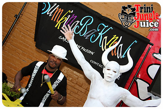 beautiful_carnival_2014-103