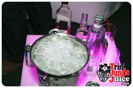 beautiful_carnival_2014-177