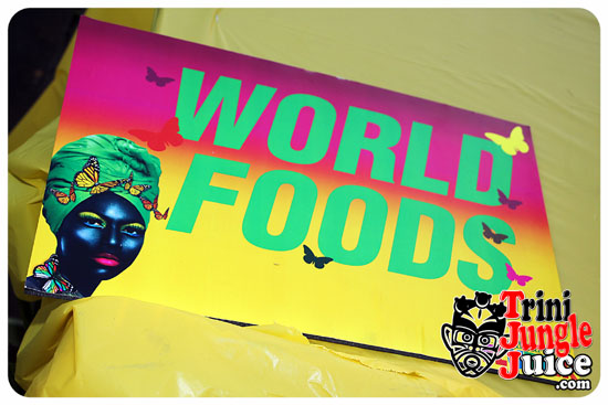 flutter_2014_pt1-007