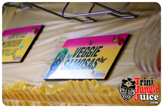 flutter_2014_pt1-011