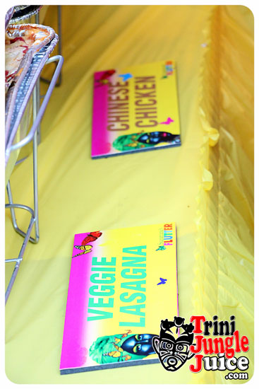 flutter_2014_pt1-012