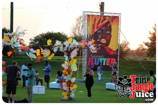 flutter_2014_pt1-015