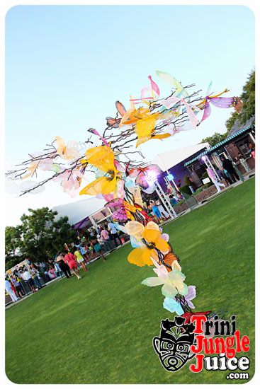 flutter_2014_pt1-017