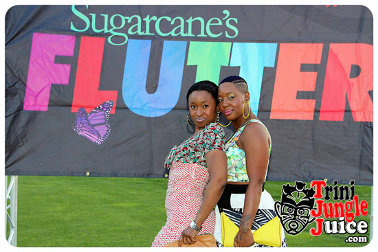 flutter_2014_pt1-049