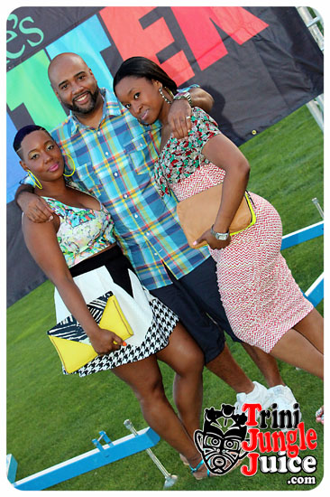 flutter_2014_pt1-052