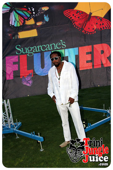 flutter_2014_pt1-068