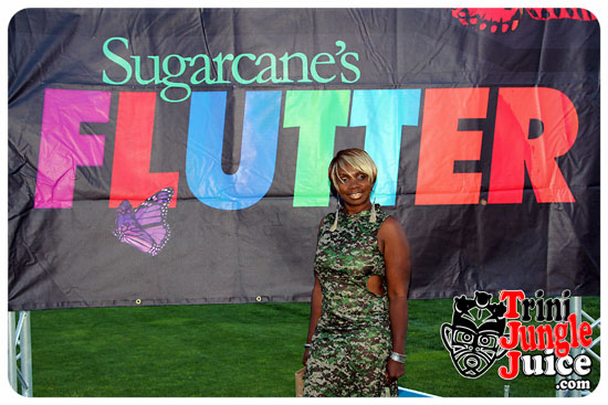 flutter_2014_pt1-072