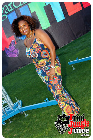 flutter_2014_pt1-082