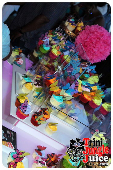 flutter_2014_pt1-089