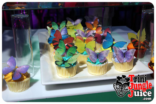 flutter_2014_pt1-091