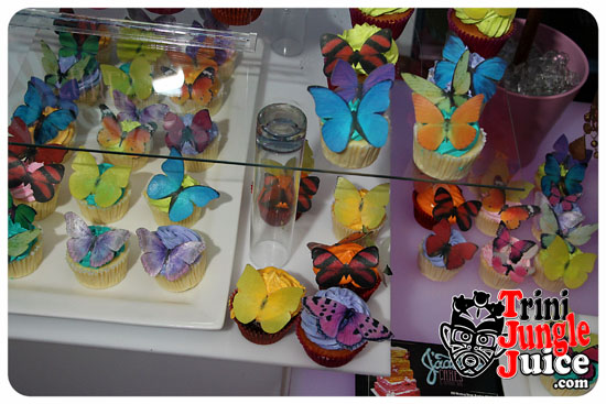 flutter_2014_pt1-092