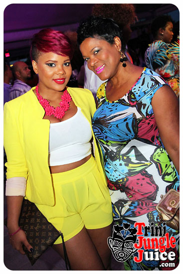 flutter_2014_pt1-097