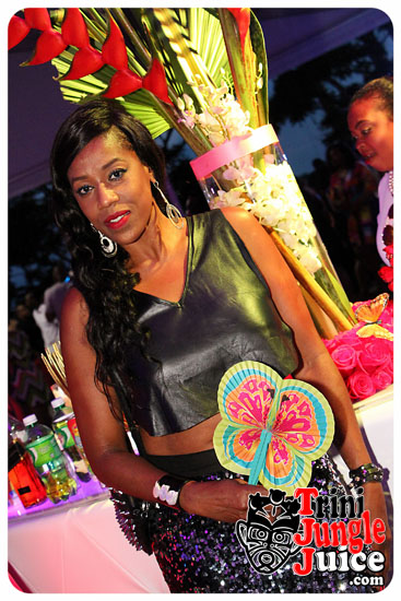 flutter_2014_pt1-101