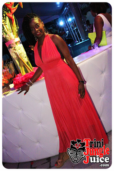 flutter_2014_pt1-111