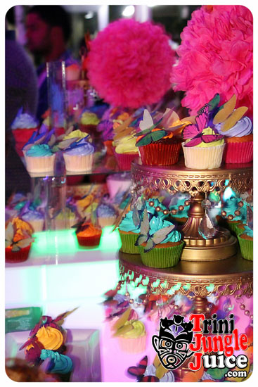 flutter_2014_pt1-138