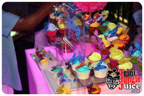 flutter_2014_pt1-139