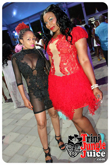 flutter_2014_pt1-156