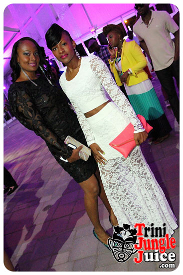 flutter_2014_pt1-158