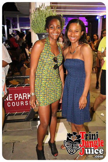 flutter_2014_pt2-011