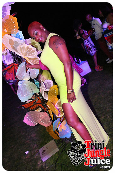 flutter_2014_pt2-025