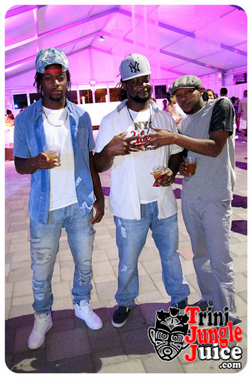 flutter_2014_pt2-033