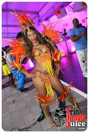 flutter_2014_pt2-052