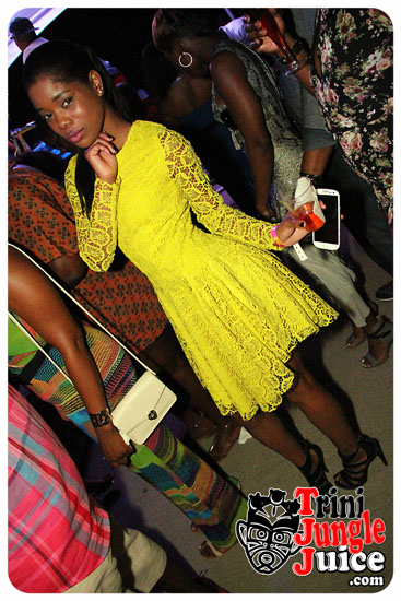 flutter_2014_pt2-134