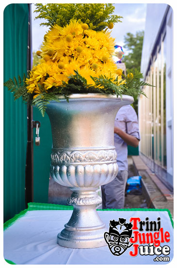 sugarcane_blossom_2014-003