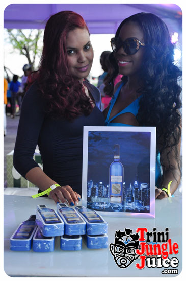 sugarcane_blossom_2014-009