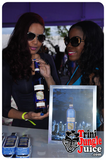 sugarcane_blossom_2014-010