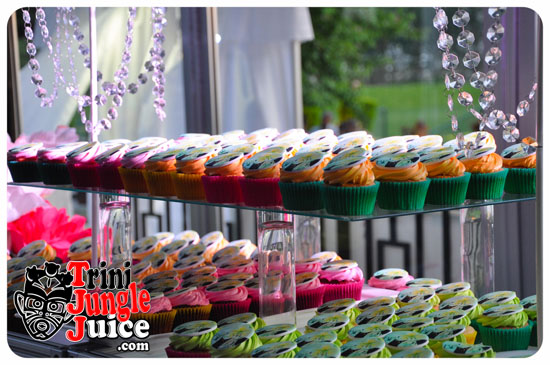 sugarcane_blossom_2014-014