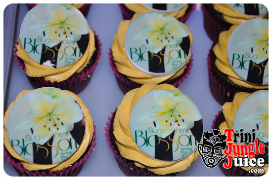 sugarcane_blossom_2014-017