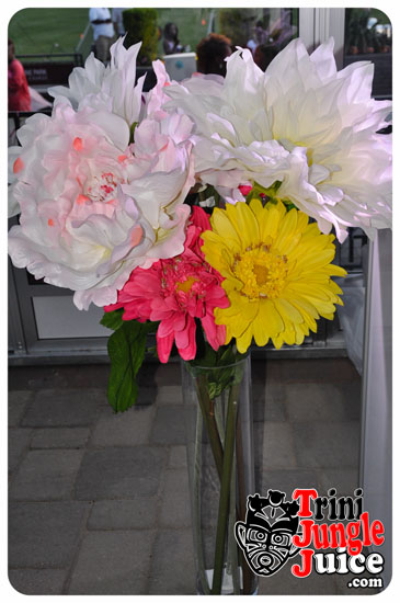 sugarcane_blossom_2014-018