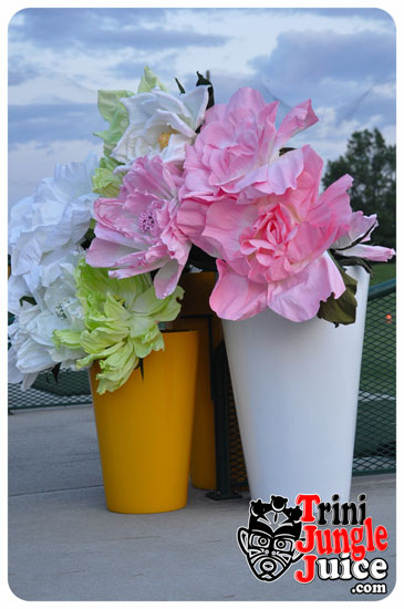 sugarcane_blossom_2014-023