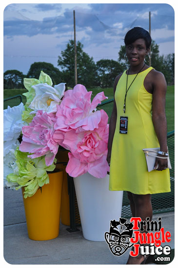 sugarcane_blossom_2014-024