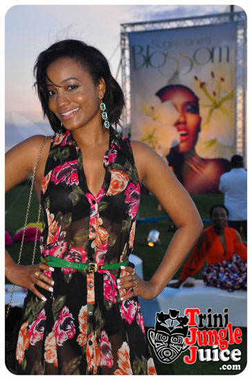 sugarcane_blossom_2014-025