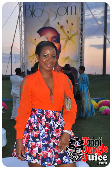 sugarcane_blossom_2014-028