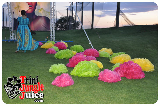 sugarcane_blossom_2014-030