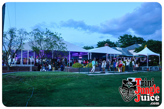 sugarcane_blossom_2014-044